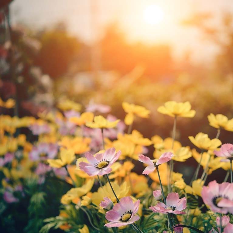 Spring Statement 2025 image